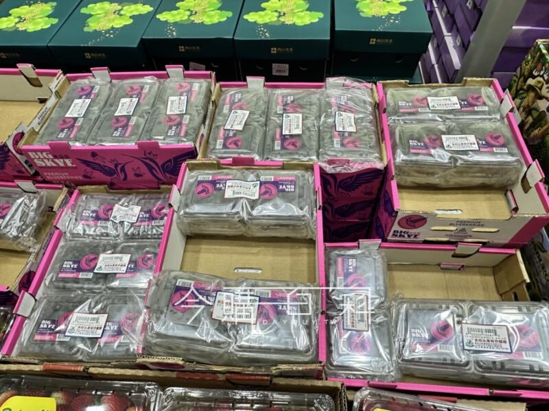 新品情報連結 