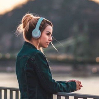 🎶Music lover🎧🎸 Telegram Group Link
