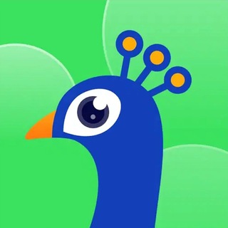 Telegram profile photo for 🦚TakaLive🦚