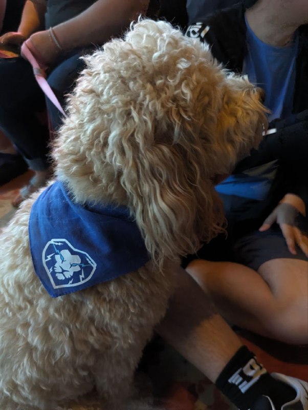 Buried Memories Chicago 大戰日 & 附贈虛擬 1331