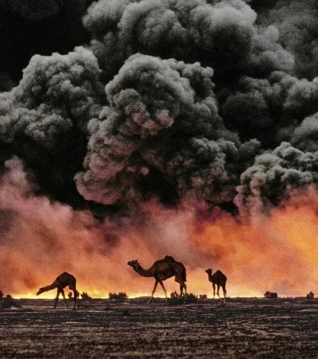 Have you ever wondered how to protect your security and financial assets in the Persian Gulf countries?