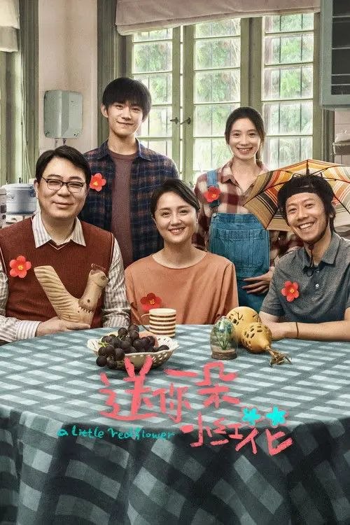 名称：送你一朵小红花 (2020) 4K 高码 60帧