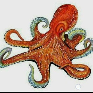 Telegram profile photo for OCTOPUS BACKUP