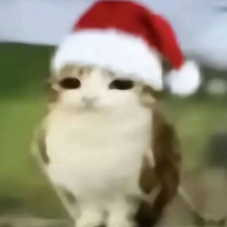 稚音交流群