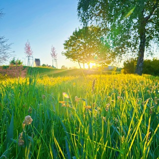 Telegram: Contact @Srilankahr Telegram Group Link