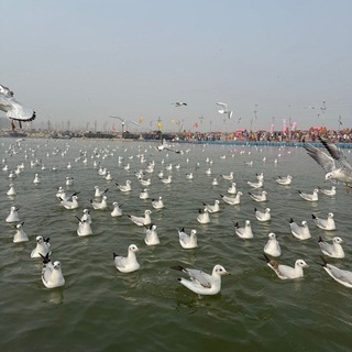 Lakshya (2004) Movie Download Hd Telegram Group Link