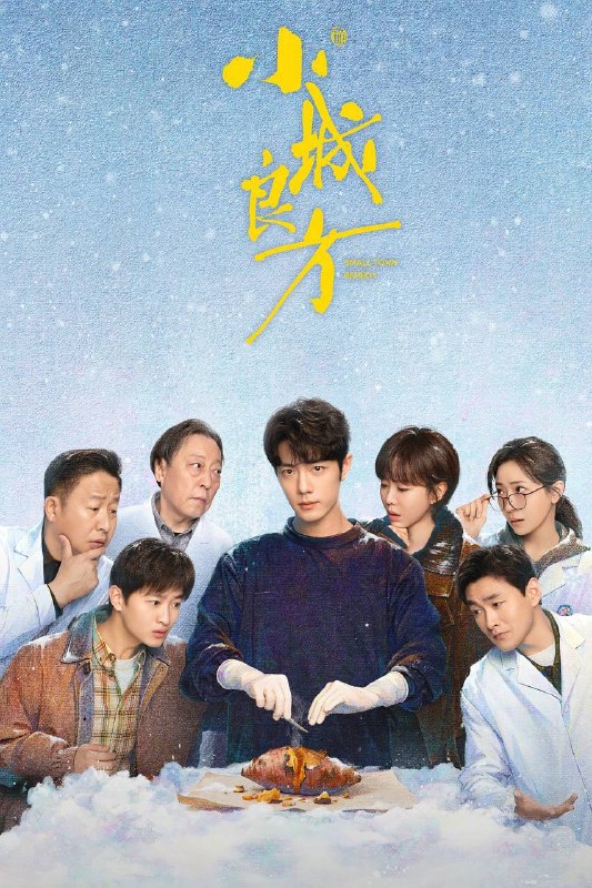 名称：小城良方（2026）IQ 4K 内封简中 更至EP06