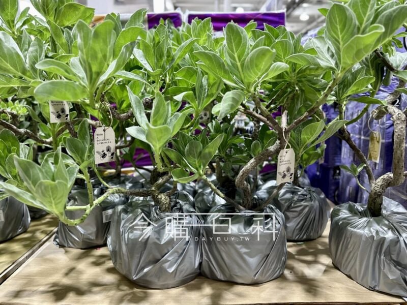 新品情報看這裡 
