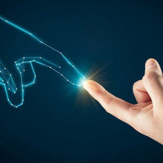 SCIENCE AND TECHNOLOGY & ENVIRONMENT AND ECOLOGY