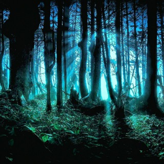 Dark Web Series Telegram Group Link