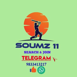 POWER SURGE 11-Player stats cricket stats, Australia T20 Bash League,NATURE ISLE T10,ECS SpainT10,Emirates D10,EMB VS SHA Telegram Group Link