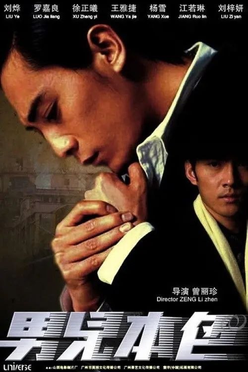 名称：男儿本色 (2007) 4K 高码 国粤多音轨 简英双语硬字幕