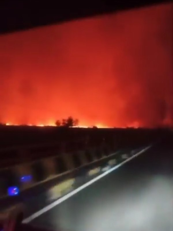 Huge wildfire burns in Ketapang Regency, West Kalimantan, Indonesia 🇮🇩 (01.09.2026)