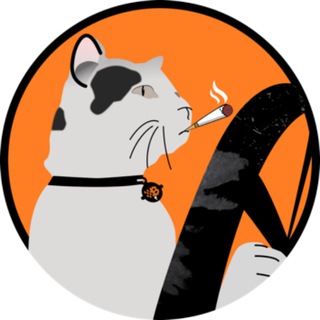 Telegram profile photo for Cat Driving Bitcoin Announcement