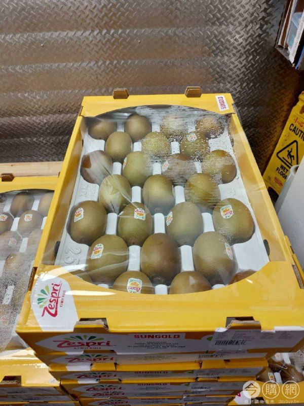 #Costco好市多5月新品通知紐西蘭 陽光金圓頭奇異果 ZESPRI #206583