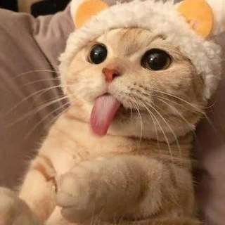 Sub4Sub YouTube, Watch4Watch, Like4Like, Comment4Comment (Permanent)😍 Telegram Group Link