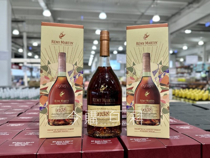 新品完整情報     