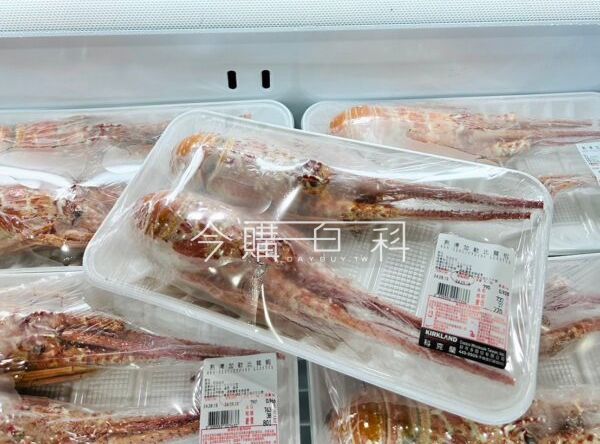 優惠情報連結 