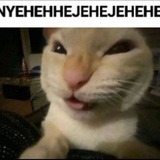 TXT ASETFESS
