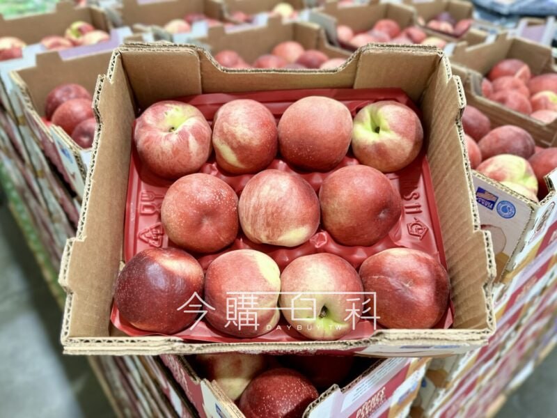 新品情報連結 