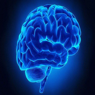 Calicut University BSC Psychology Telegram Group Link