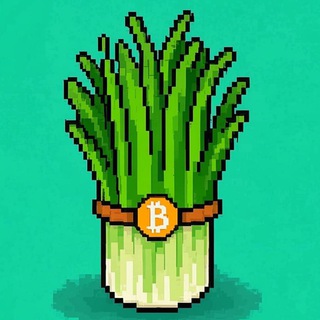 【🌱韭菜之家🌱】娱乐吹水群福利