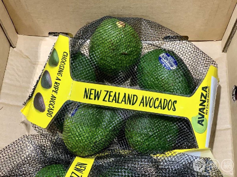 Costco新商品通知 空運紐西蘭酪梨 #47019 新商品情報連結 