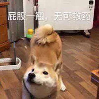 谷歌语音 google voice商店