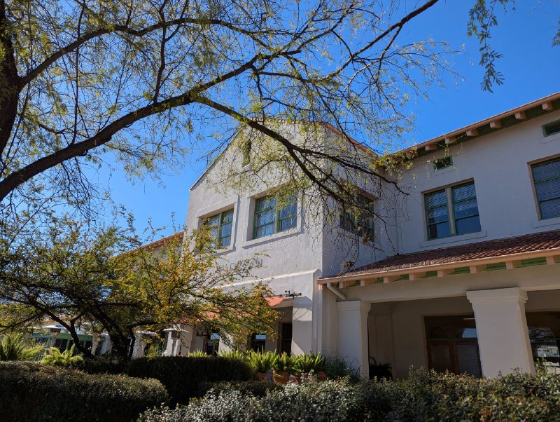 Mission Day Tucson Sonoran 沙漠深處滿山的巨人柱，最具標誌性的 Arizona 景觀