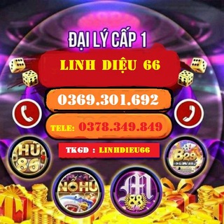 🔰ĐẠI LÝ CẤP 1 LINH DIỆU 66 🔰