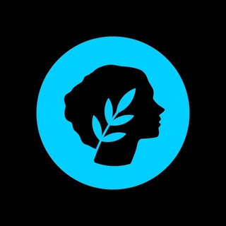 Metis全生态中文交流-主群