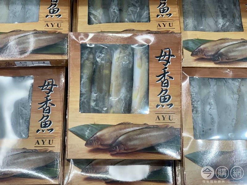 優惠商品情報 