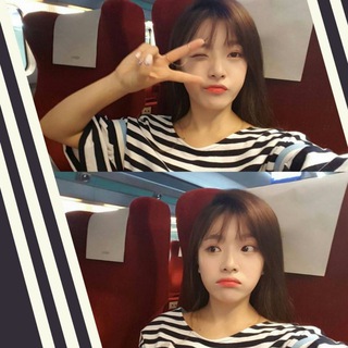 실배터 입플 그룹 Telegram Group Link