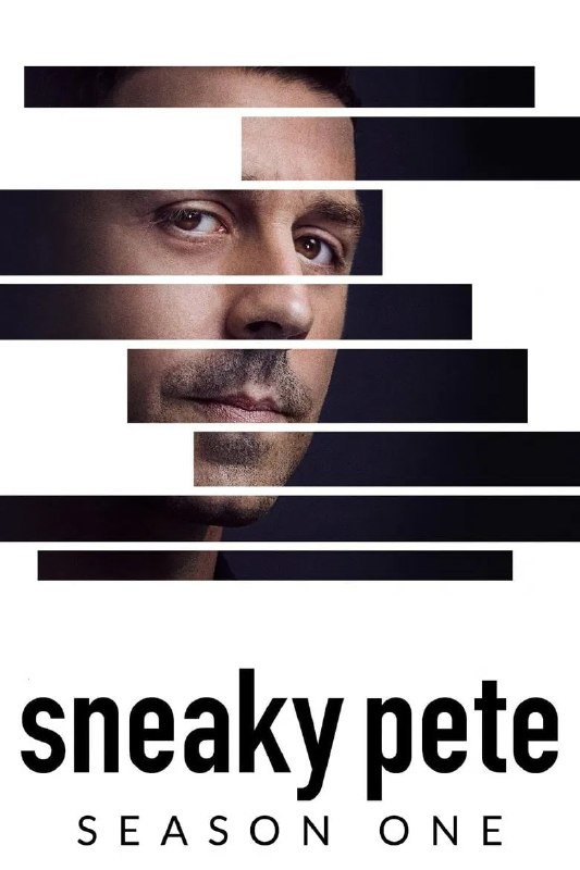 《诈欺担保人》Sneaky Pete 高清资源下载 - 精彩美剧网盘收藏