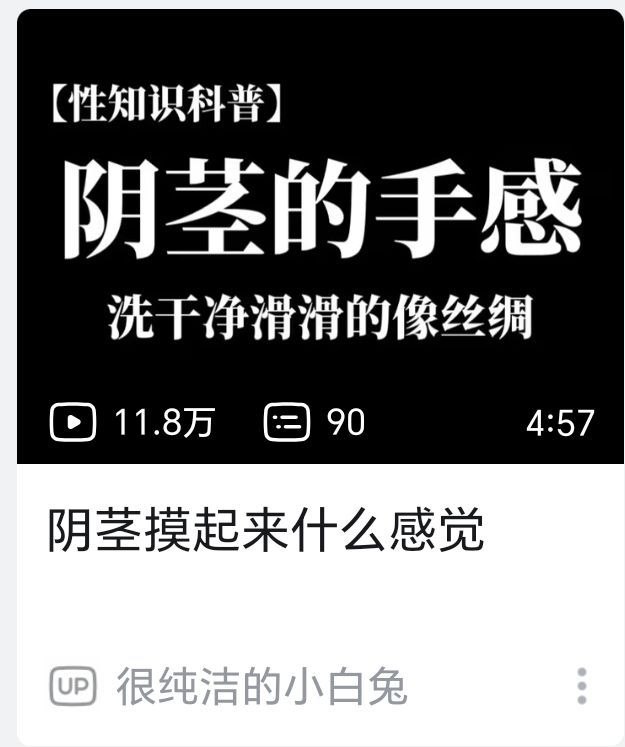 丝绸之🦌via 半根萝卜HalfCarrot