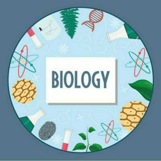 VISION_BIOLOGY (UP TGT PGT LTGRADE EMRS. KVS DSSSB NVS AND OTHER TEACHING EXAM )