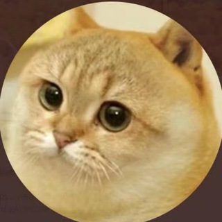 立党成人视频搜索群（精致视频，少广告）