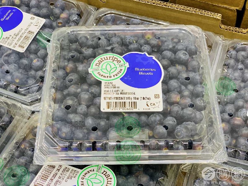 新品情報連結 
