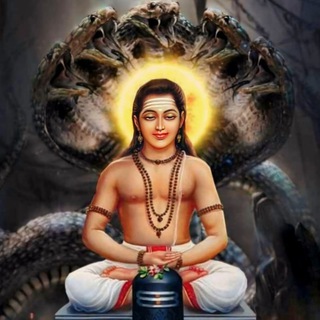 TELUGU PADMASHALI'S Telegram Group Link