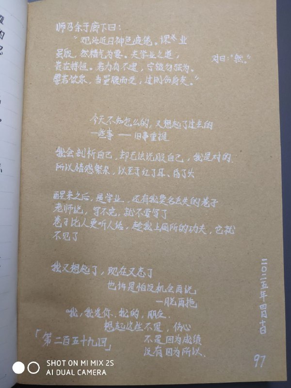 媒体预览