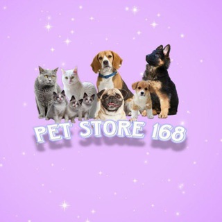 Pet store 168