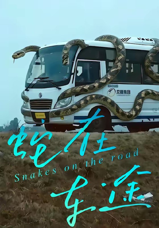 名称：蛇在车途 (34集) 何子茜&熊月良 | 短剧