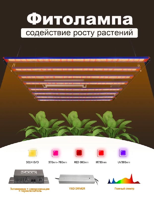 Quantum Board 1000W на диодах LM301H EVO. — фото 1