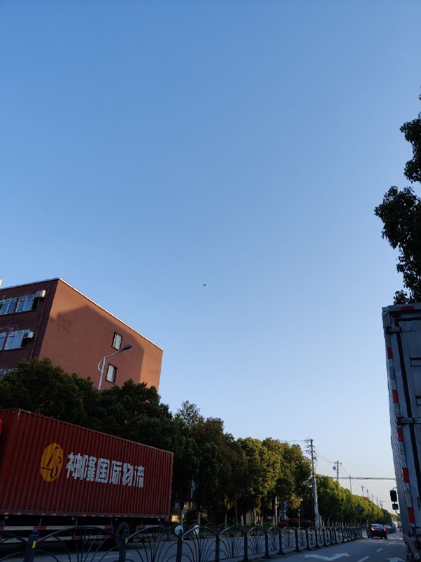 早起迎接橘大人回家！#20230326早起迎接橘大人回家！#20230326