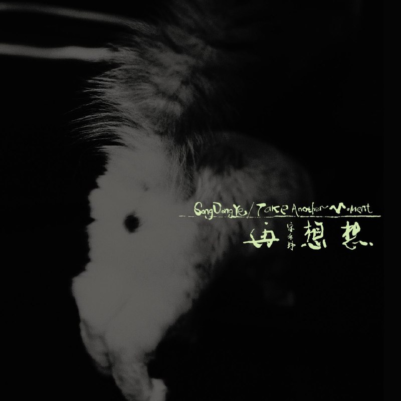 名称：宋冬野 - 再想想 (2026) ALAC 16bit 44khz 附 歌词