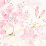 ᨦ꯭ദ corner of memoria.