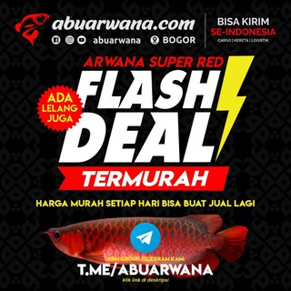 FLASHDEAL &amp; LELANG ABU ARWANA