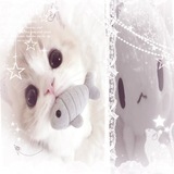 Fuzzy~?!