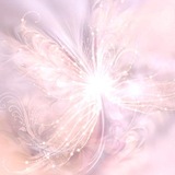 𝒉𝒂𝒗𝒆𝒏𝒅𝒐𝒍𝒍𝒔.