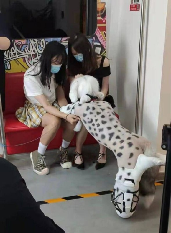 来点色图